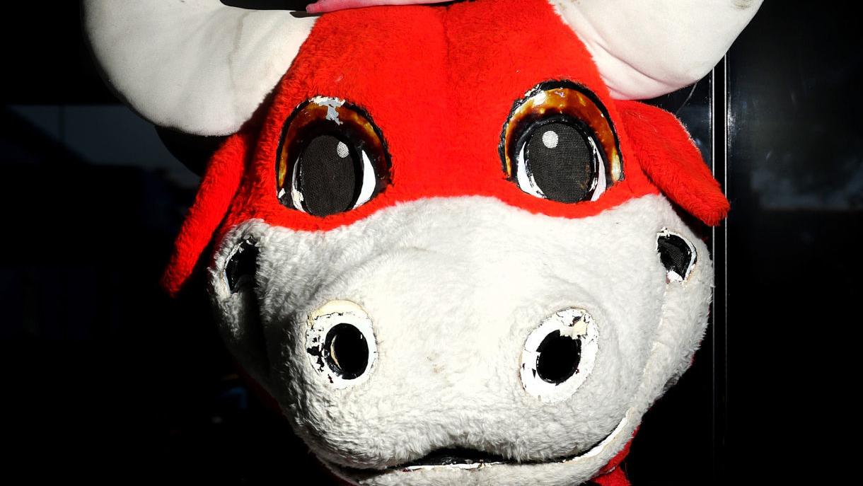 No bull: Tuffy the Toro's legacy lives on, years after Triple-A team left Tucson